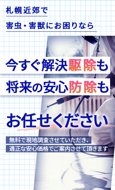 害虫・害獣ページ – MR.クリーンラボ